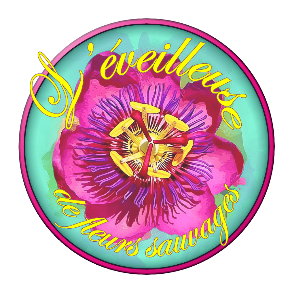 logo l'éveilleuse_AUDREY BALLATORE