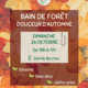 Bain de foret douceur d'automne Karine Palazon