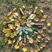 Voyage Méditatif en Ste Baume 21 mars 2026