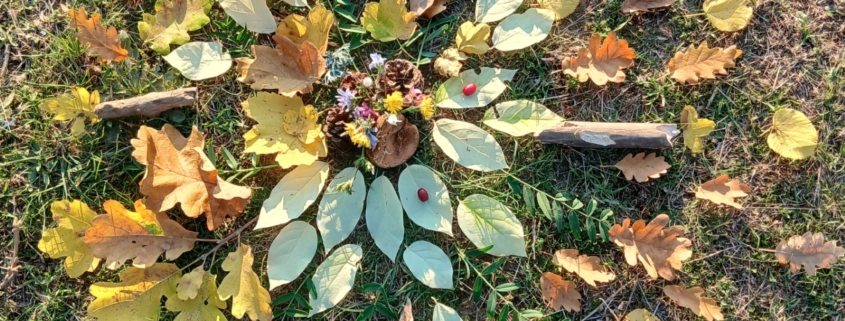 Voyage Méditatif en Ste Baume 21 mars 2026