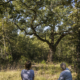 Forrest for Health -formation de praticiens