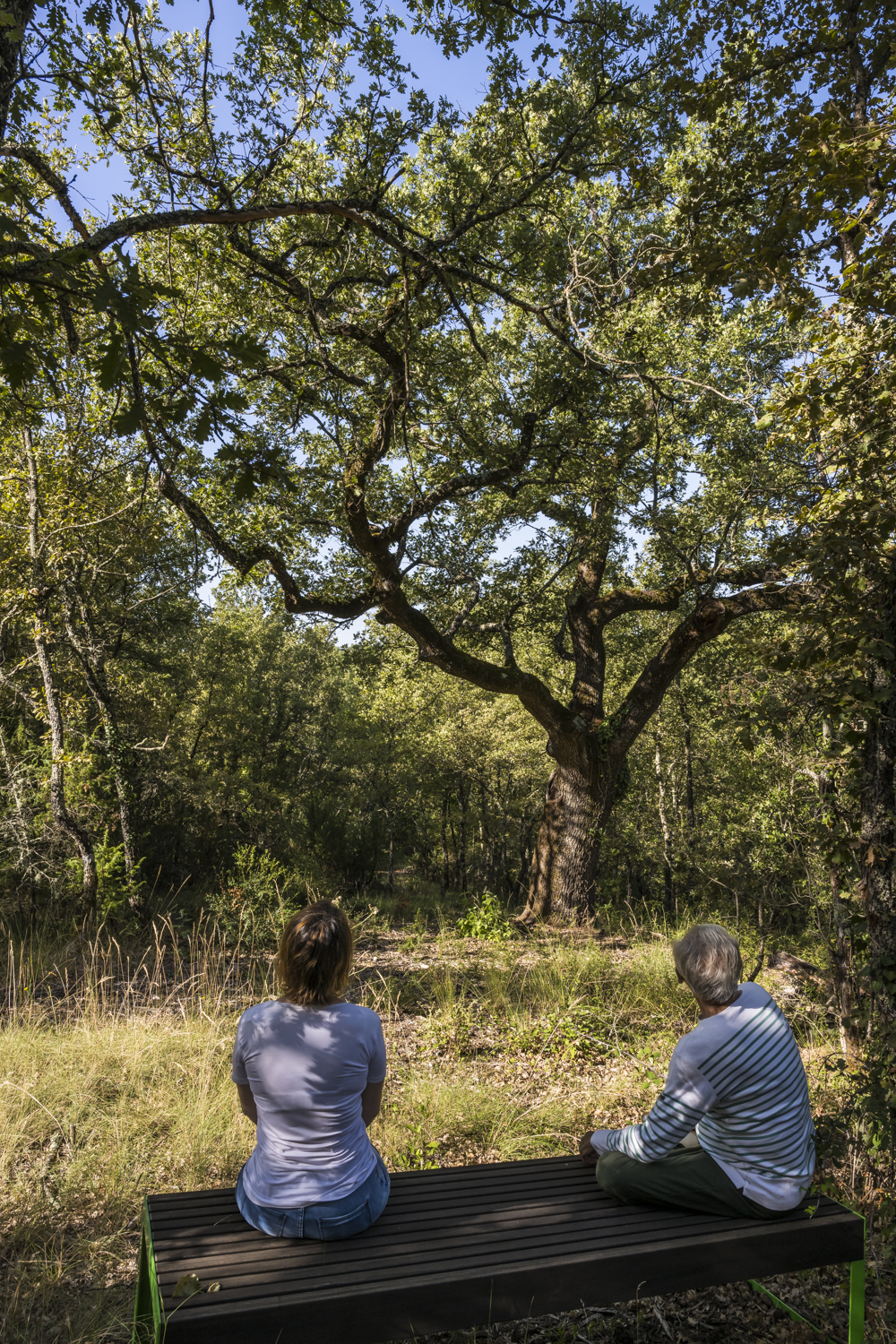 BRVar7153 Forrest for Health -formation de praticiens