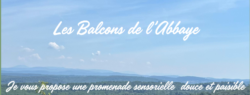 bain de forêt au Thronet