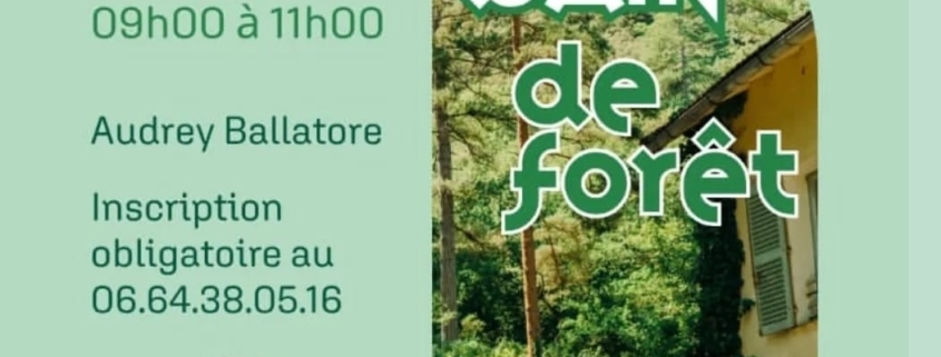 Bain de foret 24 juin Audrey