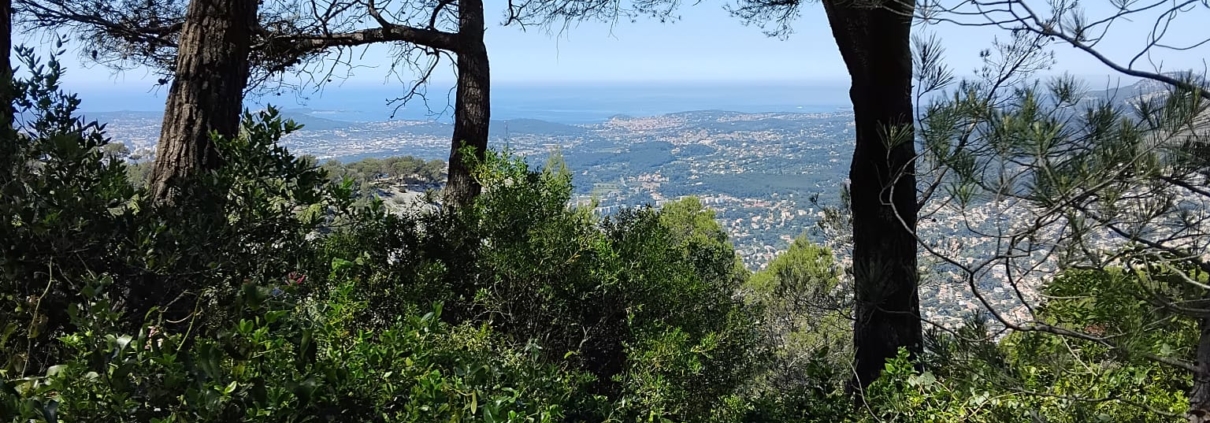 balade Sylvaviva vue faron