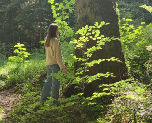 Var fête la Nature 2026