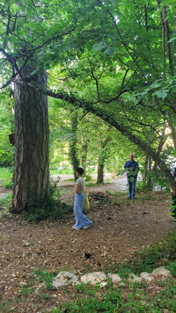 Nuits des forets 2026 Nuits des forets 2026