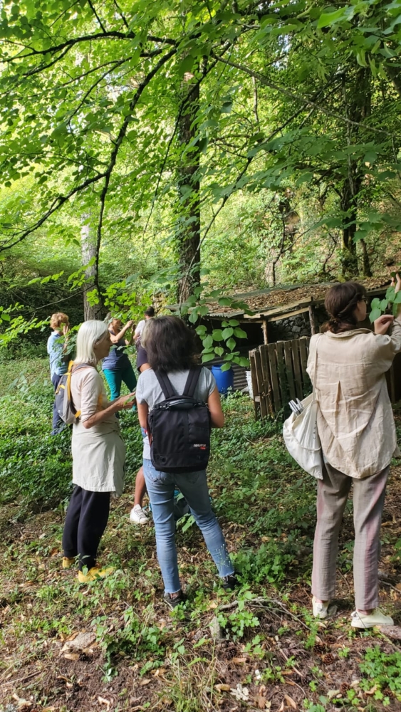 Nuits des forets 2026 Nuits des forets 2026