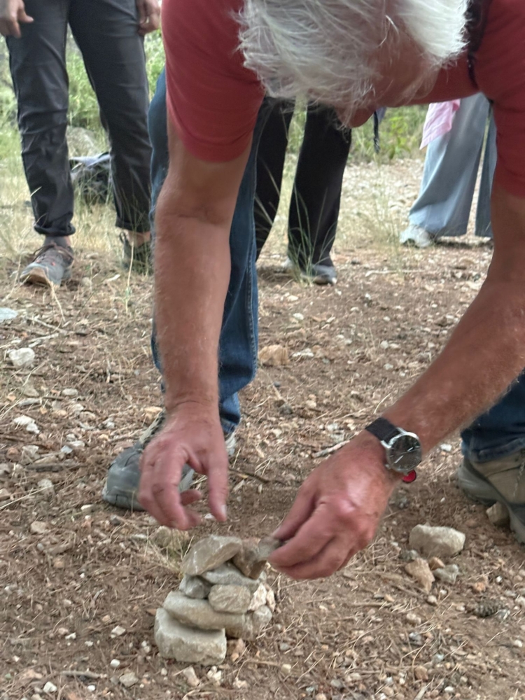 Nuits des forets 2026 Nuits des forets 2026
